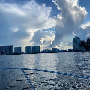 Meet your Posher, Lou